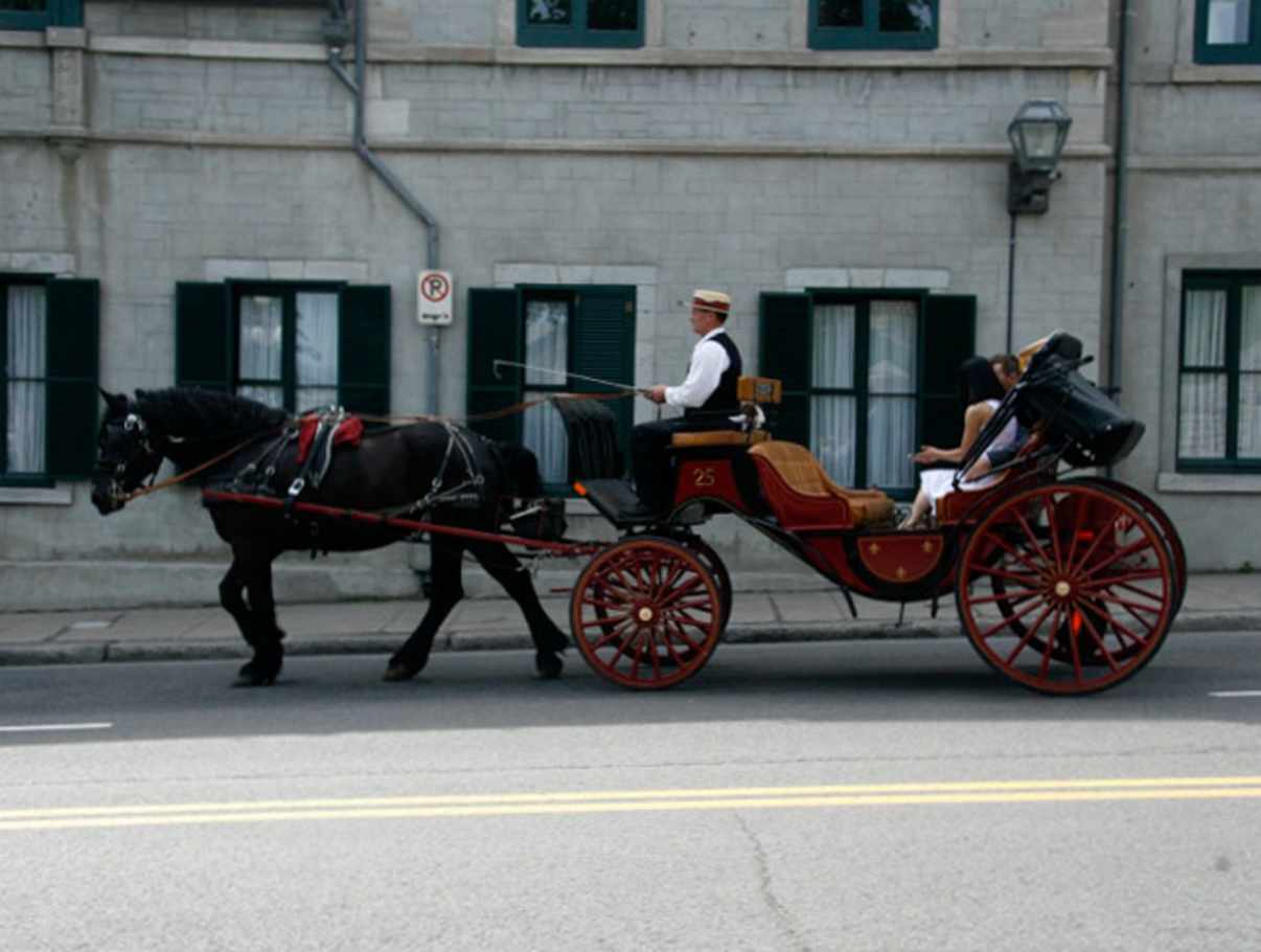 Calèches du VieuxQuébec inc. Horsedrawn Carriage Tours Quebec