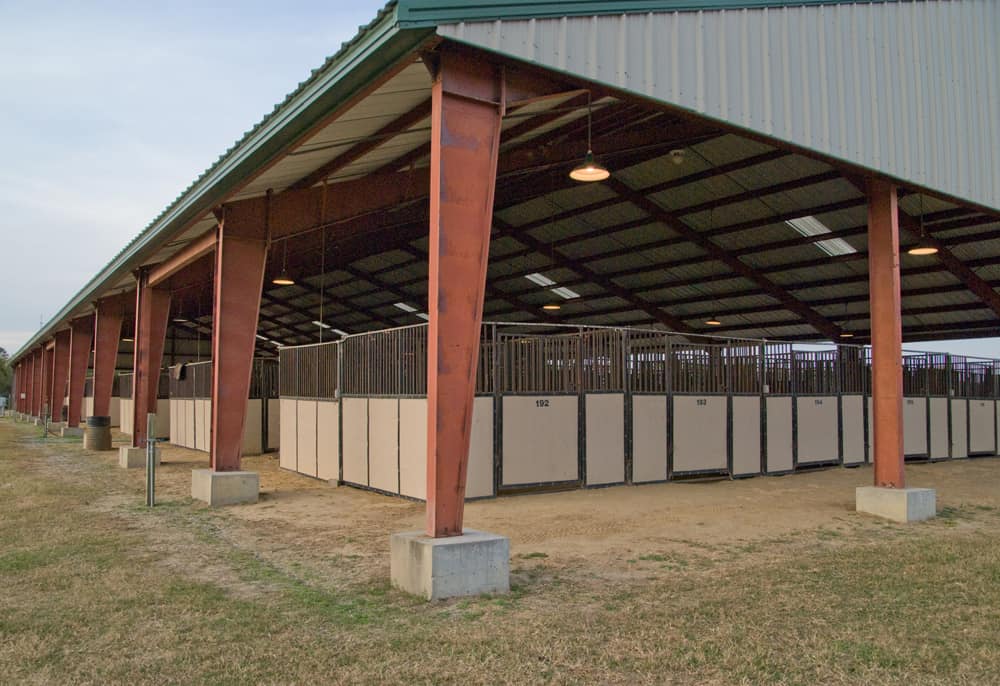 Johns Island County Park Bring Your Group or Tour Charleston Area CVB