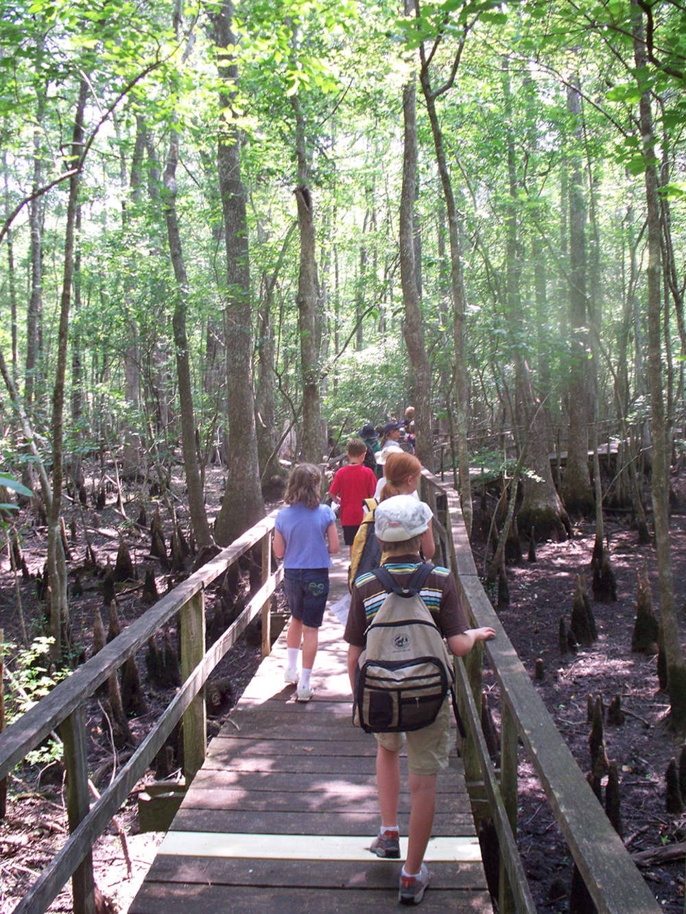 Nature Adventures, LLC Charleston Area CVB