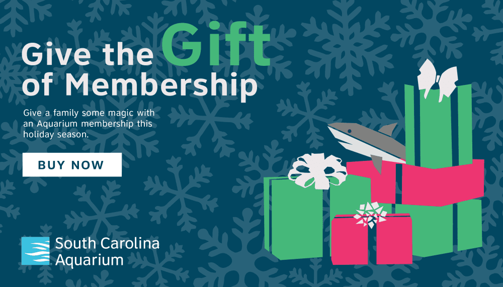 South Carolina Aquarium | Charleston Area CVB