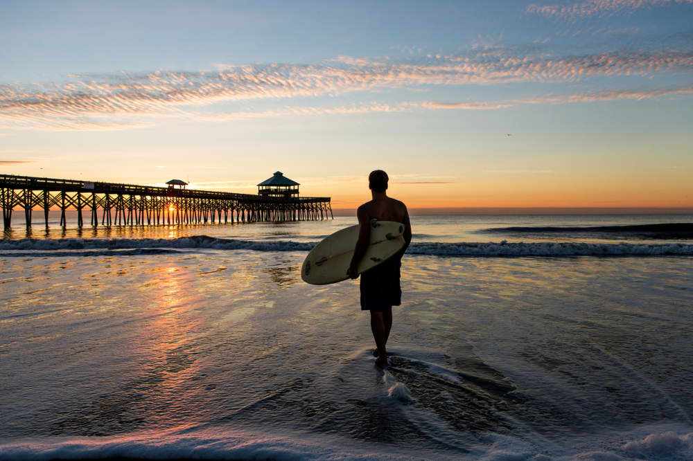 Avocet Properties Folly Beach Sc Avocet Properties Folly Beach Sc