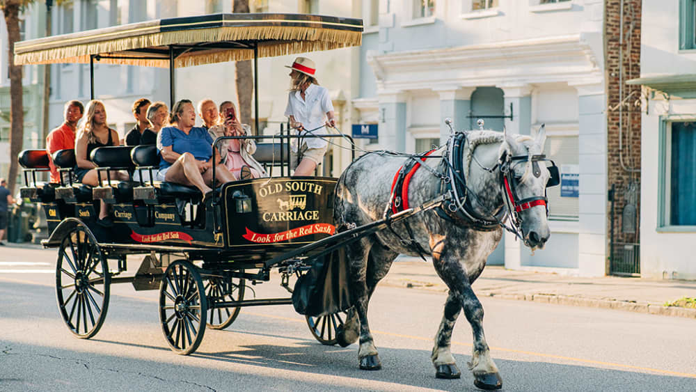 Historic Carriage Tour Haunted Carriage Tour Charleston Area CVB