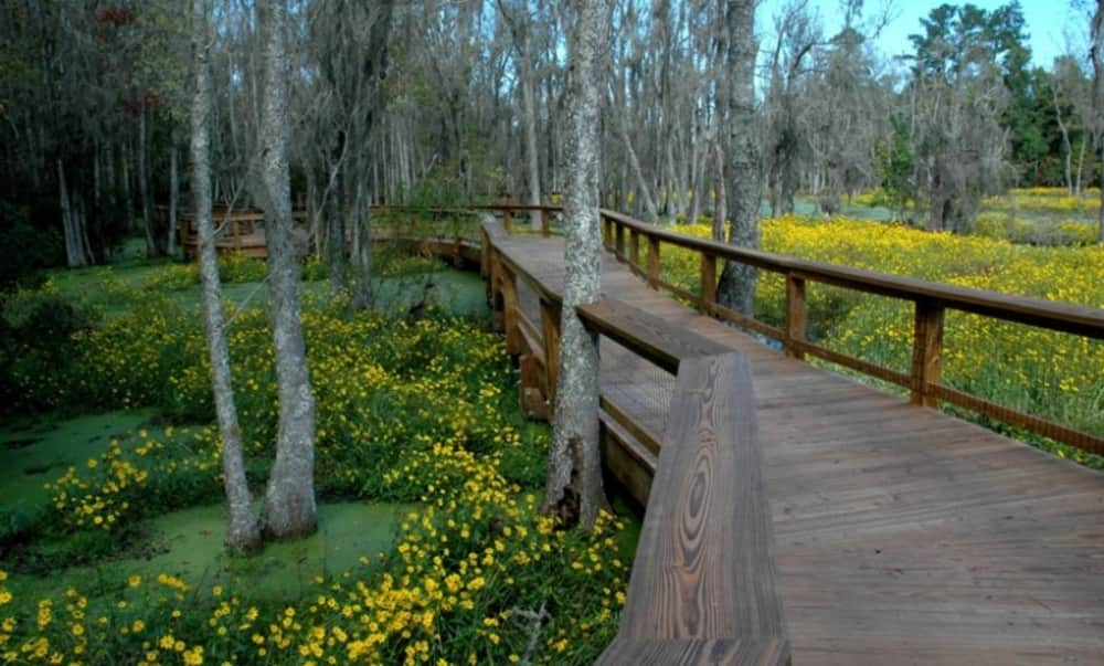 Magnolia Plantation & Gardens Charleston Area CVB