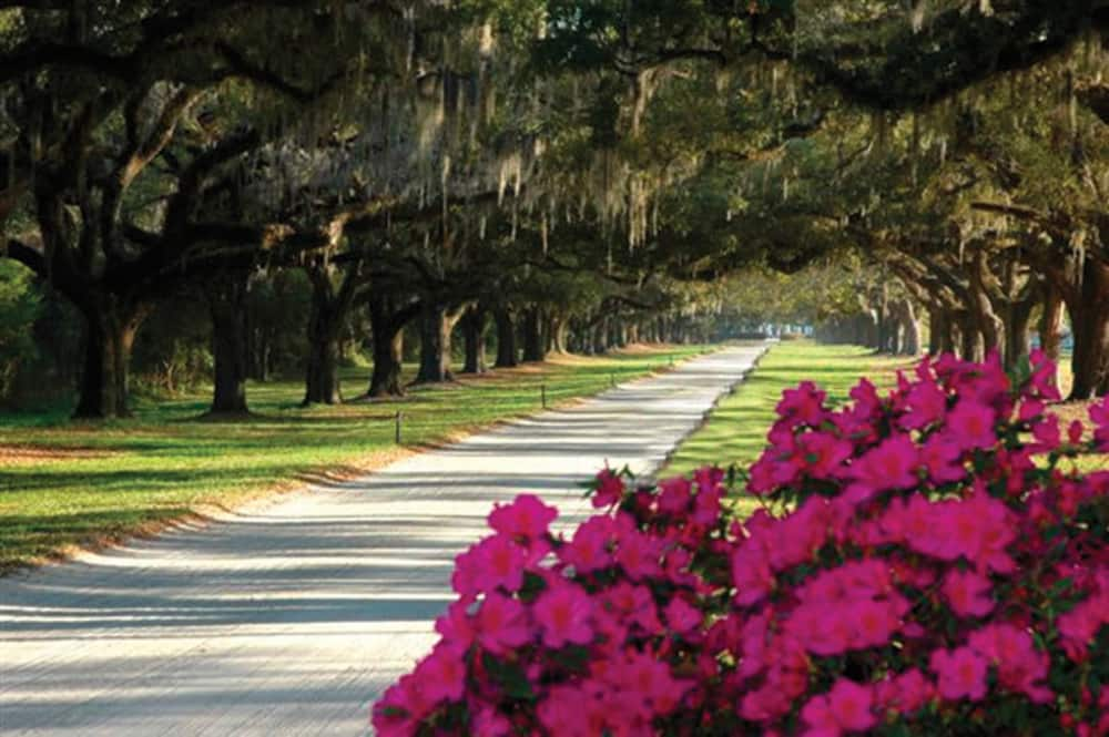 boone hall plantation combo tour