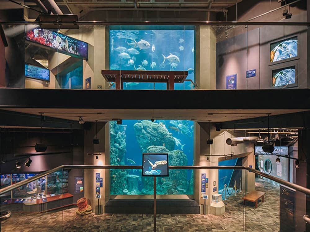 South Carolina Aquarium Charleston Area CVB
