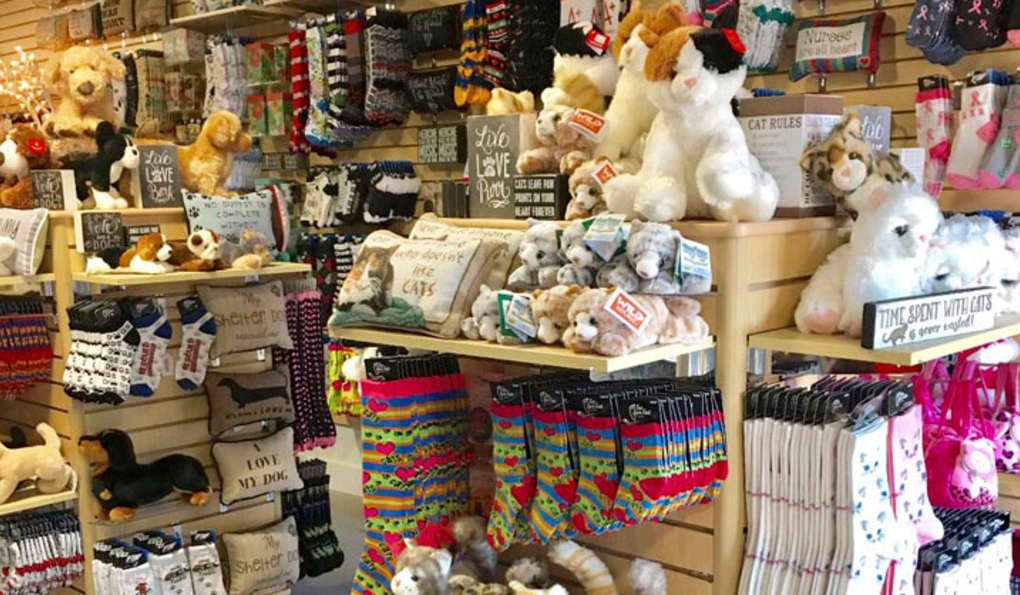 Charleston, SC Best Specialty Shops Official Shopping Guide