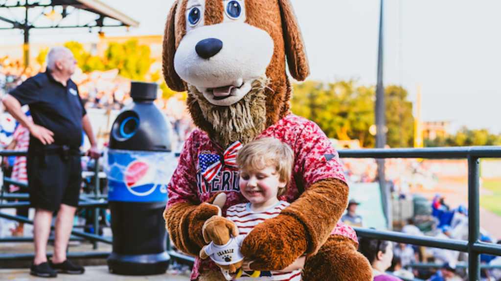 Charleston RiverDogs Baseball / Joseph P. Riley, Jr. Park
