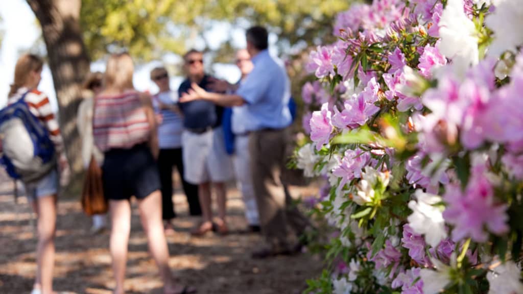 Image of Charleston Strolls