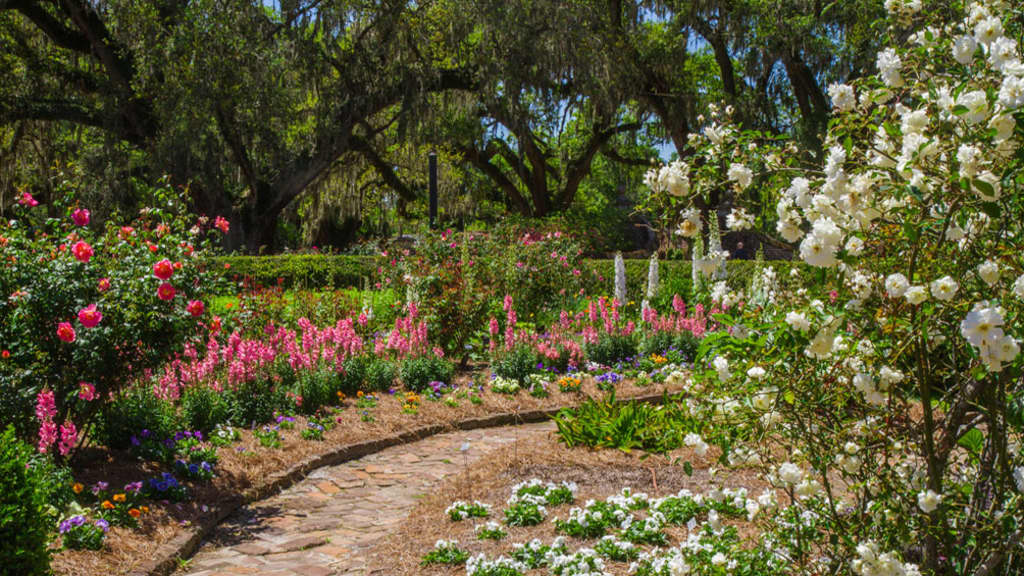 Image of Boone Hall Plantation