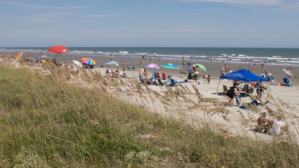 Image of Isle of Palms County Park