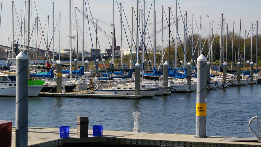 Image of Cooper River Marina