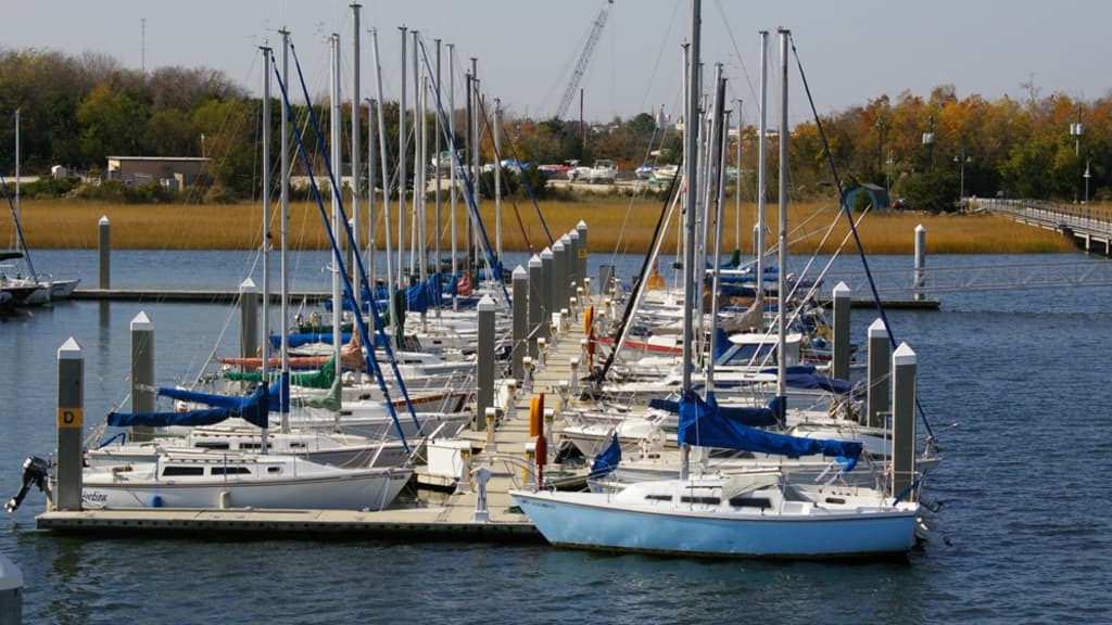 Image of Cooper River Marina