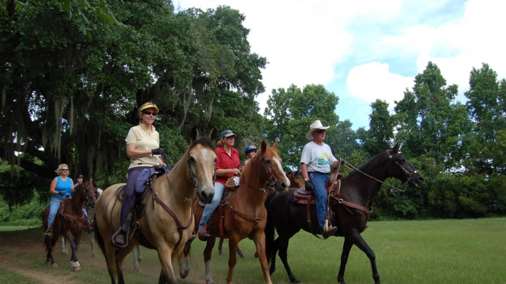 Image of Johns Island County Park