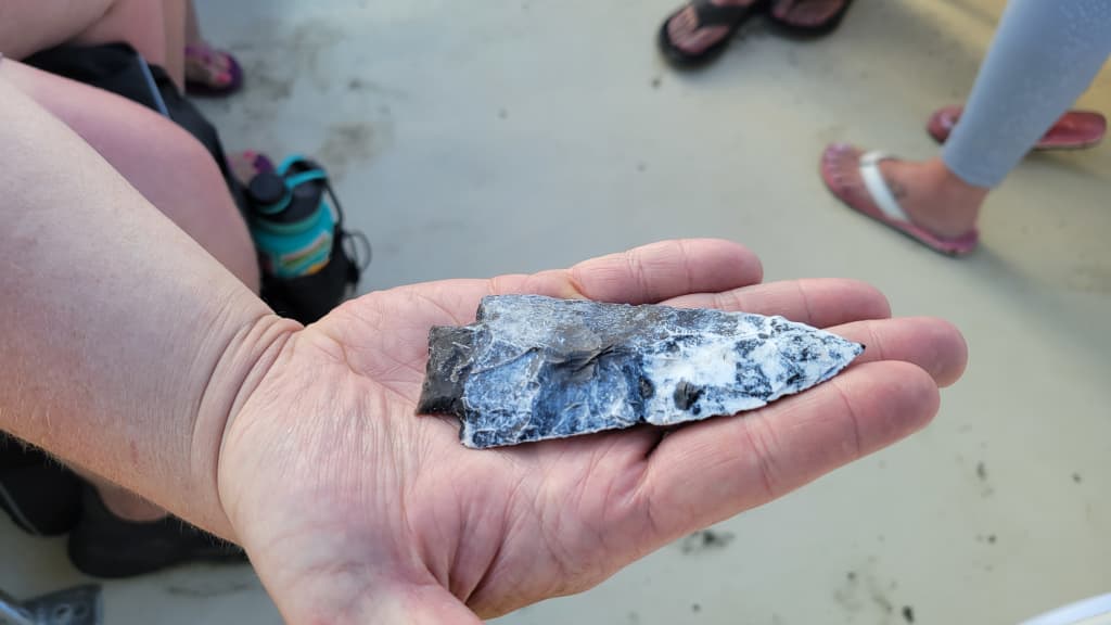 Image of Fossil Hunting Tour