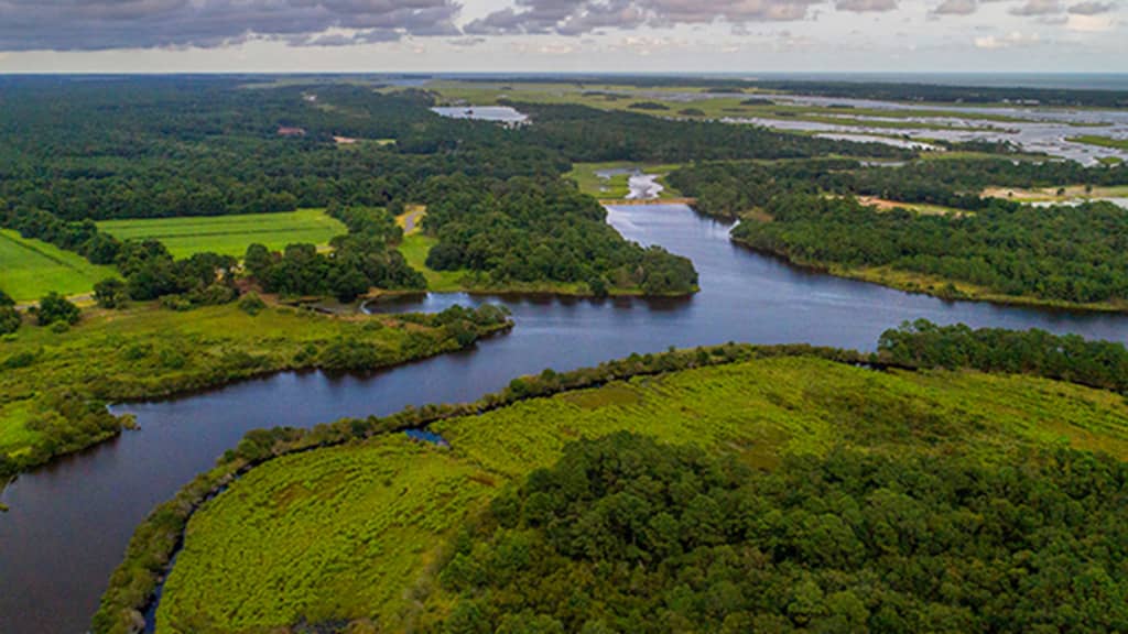 Image of Kiawah River