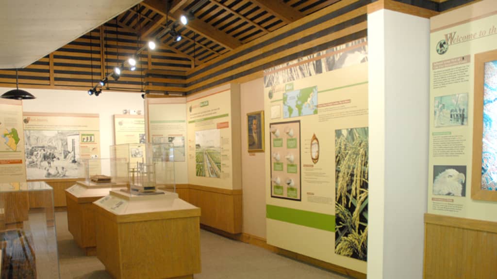 Image of Caw Caw Interpretive Center