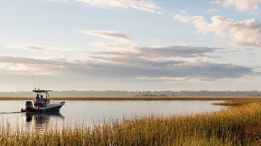 Image of Kiawah River