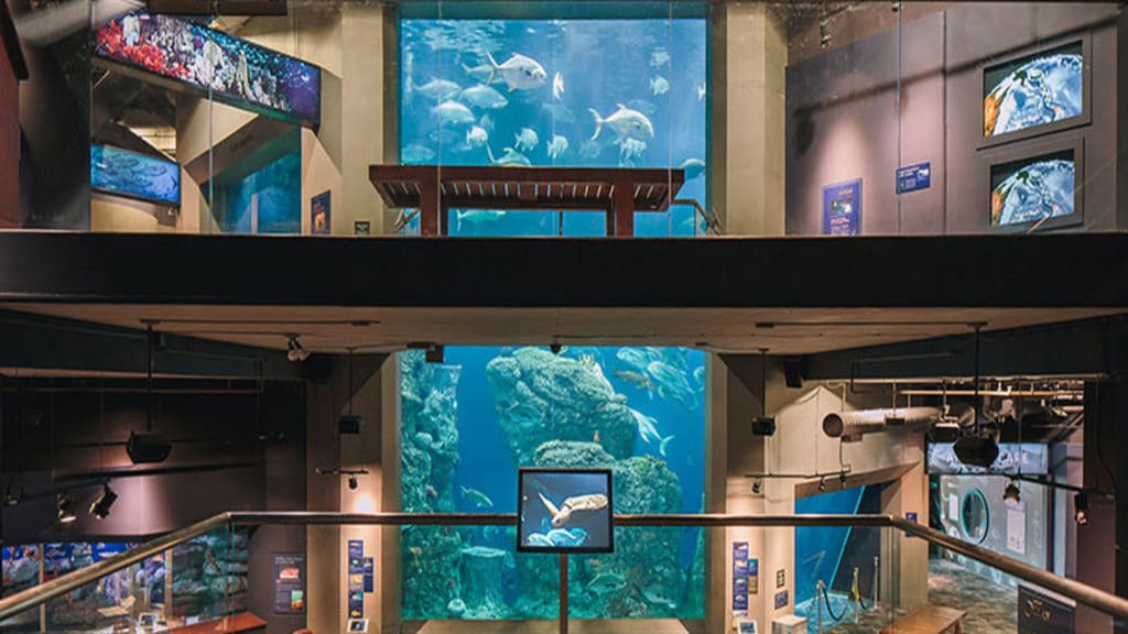 Image of South Carolina Aquarium