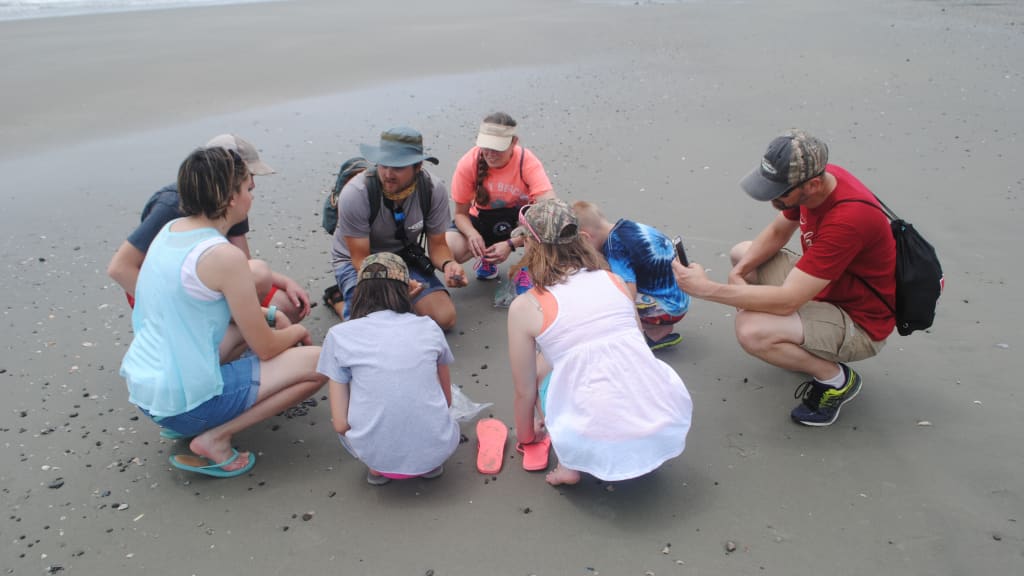 Image of Fossil Hunting Tour