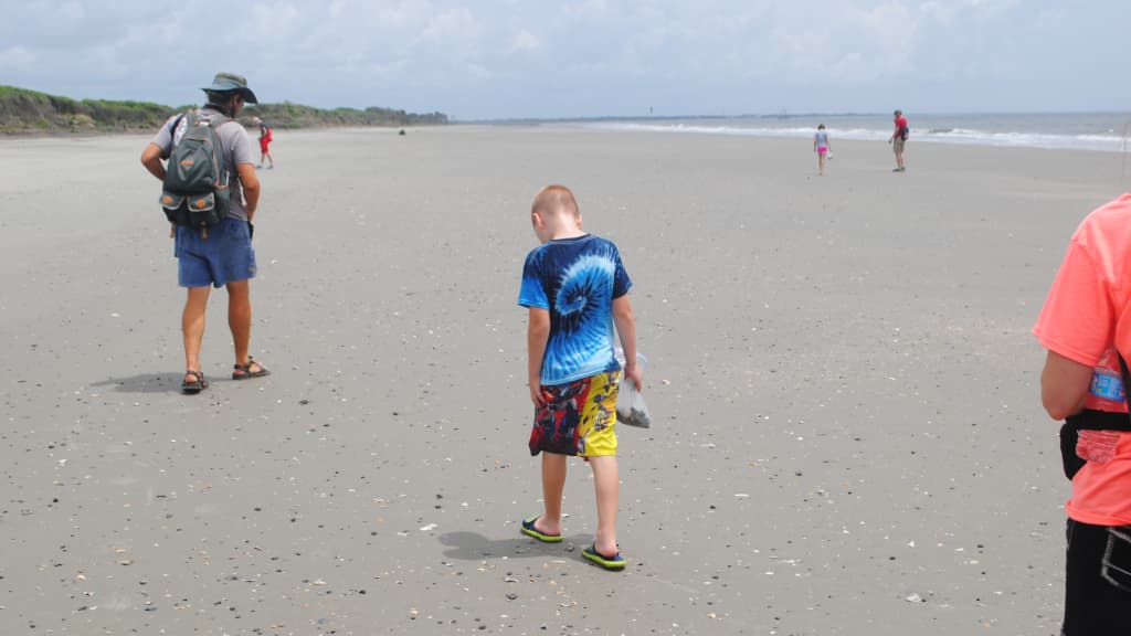 Image of Fossil Hunting Tour