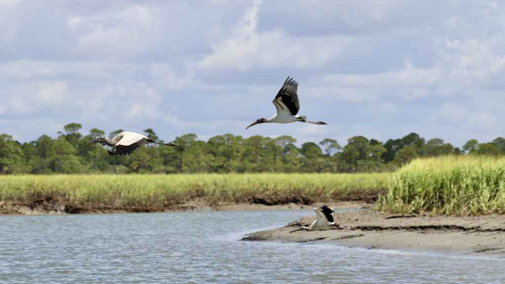 Image of Charleston Outdoor Adventures