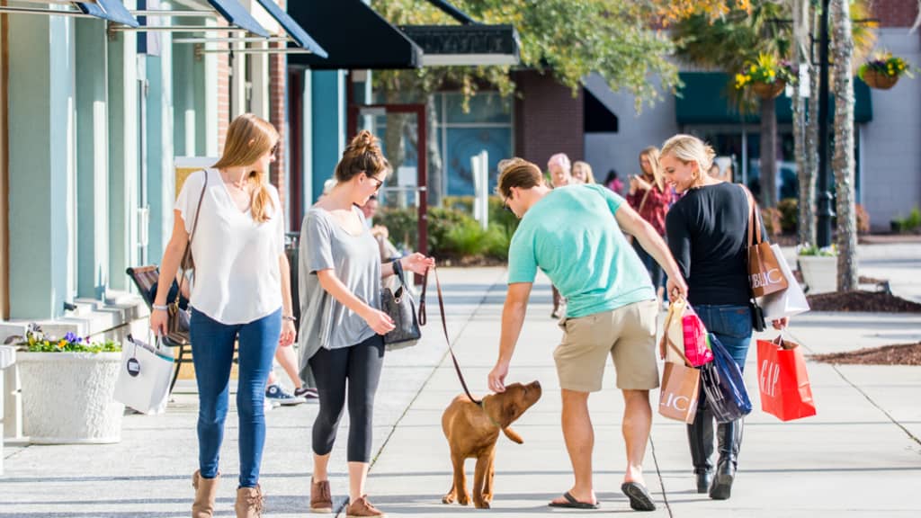 Image of Mount Pleasant Towne Centre