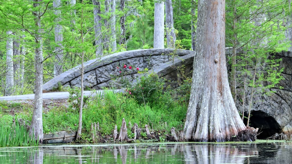 Image of Cypress Gardens