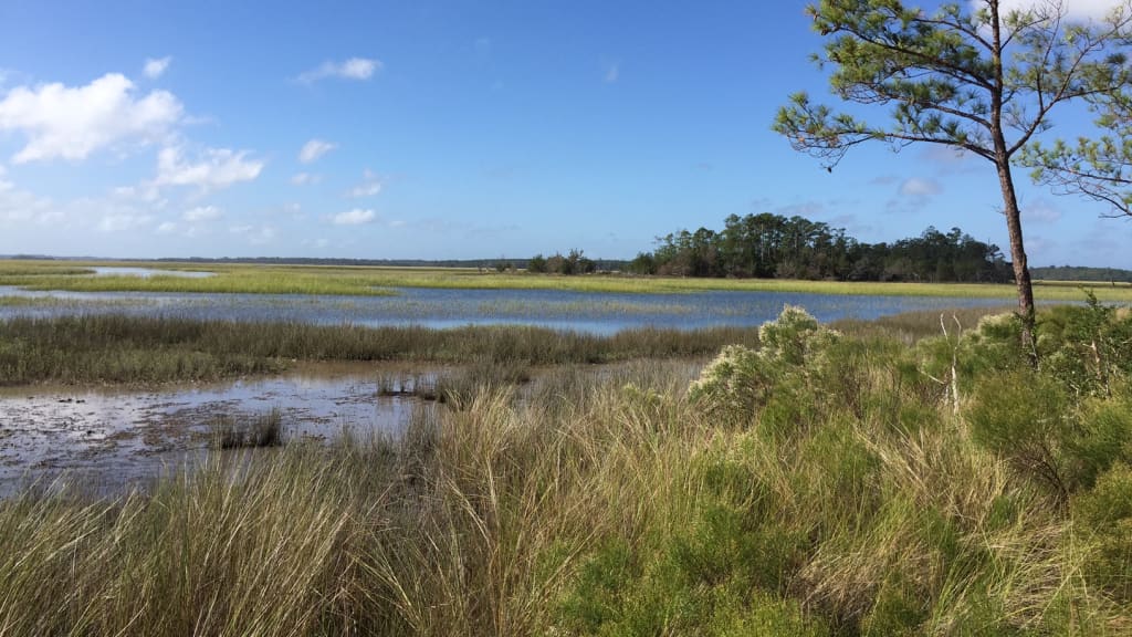 Image of Meggett County Park