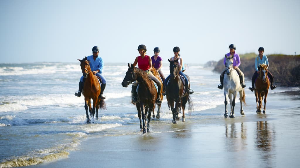 Image of Town of Seabrook Island