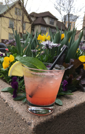 Strawberry Patio Punch at Basset Street Brunch Club