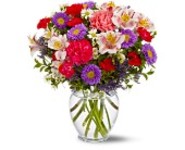 Sweet Peas Flowers