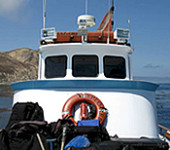 Explorer Dive Boat