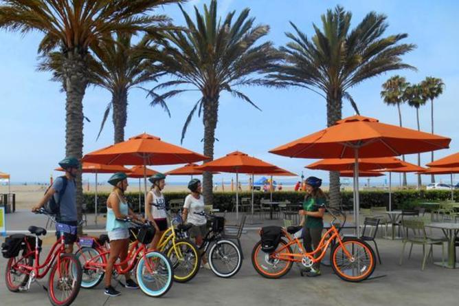 Pedal... or Not Electric Bicycle Tours