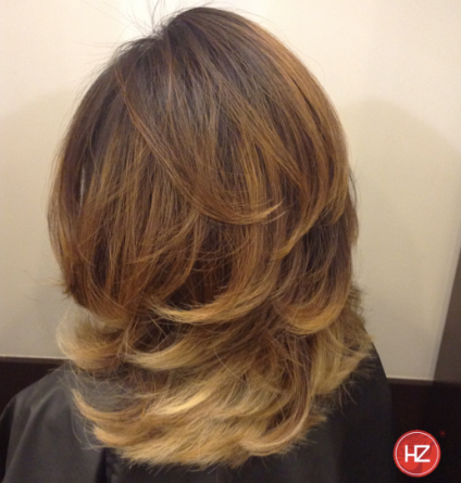 Hairzoo