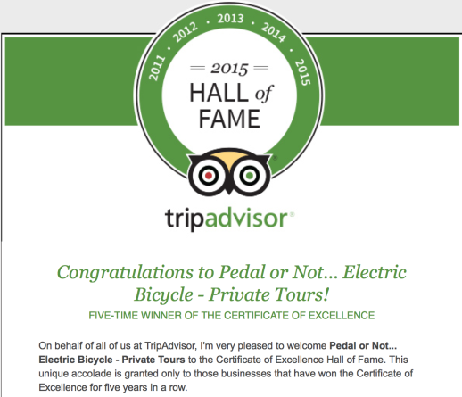 Pedal... or Not Electric Bicycle Tours