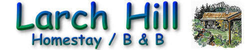 Logo Title