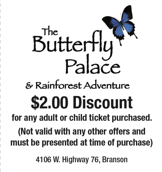 Butterfly palace 07aa500a5056a34 07aa511a 5056 a348 3a48f249980f40ae