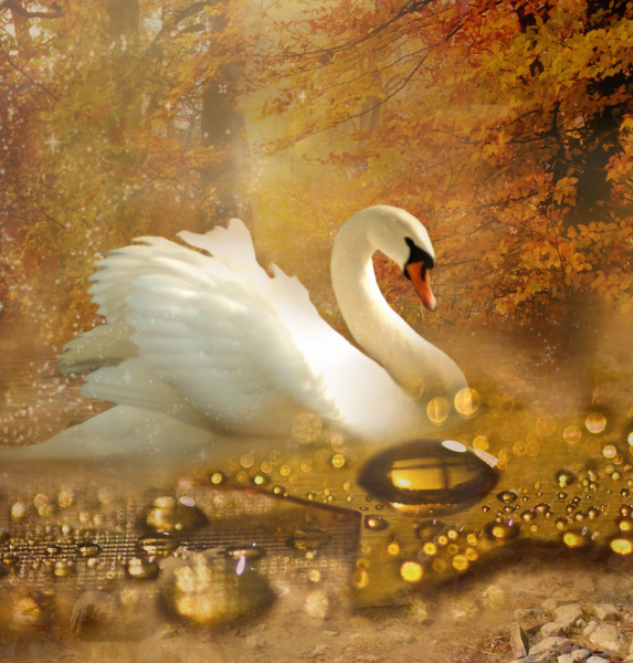 Golden Swan Motel Golden Swan Motel