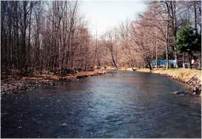 Neversink River Campground Neversink River Campground