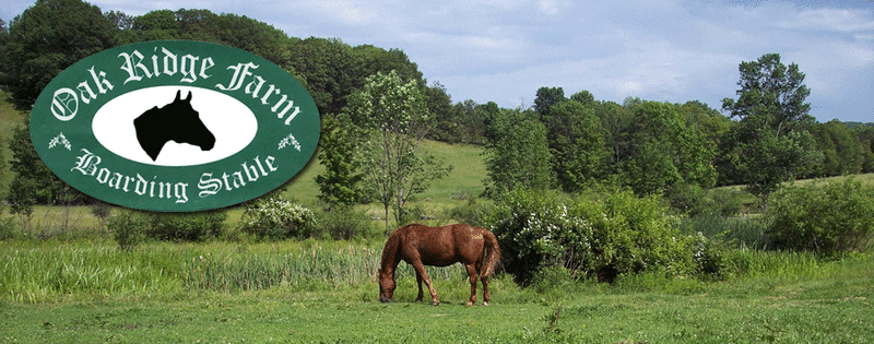 Oak Ridge Farm Oak Ridge Farm