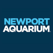 Newport Aquarium