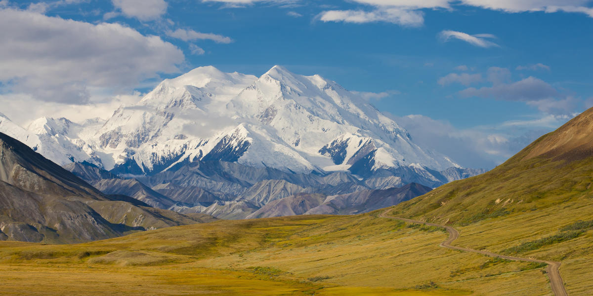 tours of denali national park from anchorage
