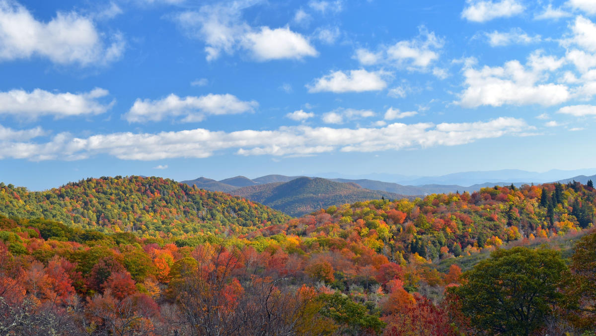 Ashevilleâ€™s 2017 Fall Foliage Report & New Fall Highlights