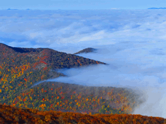 Image result for gif mountain tops in the clouds moving gif