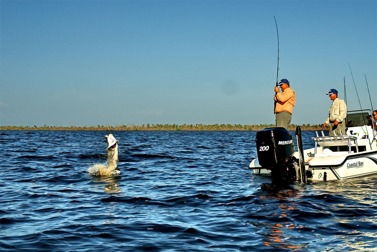 Tarpon Fishing in Boca Grande, FL Tarpon World Capital Tarpon Fishing in Boca Grande, FL Tarpon World Capital