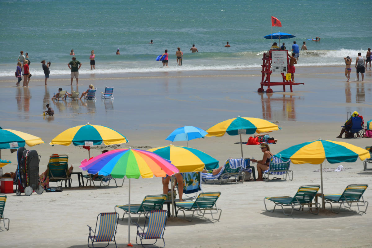 Daytona Beaches Beach Driving Sea Turtles More