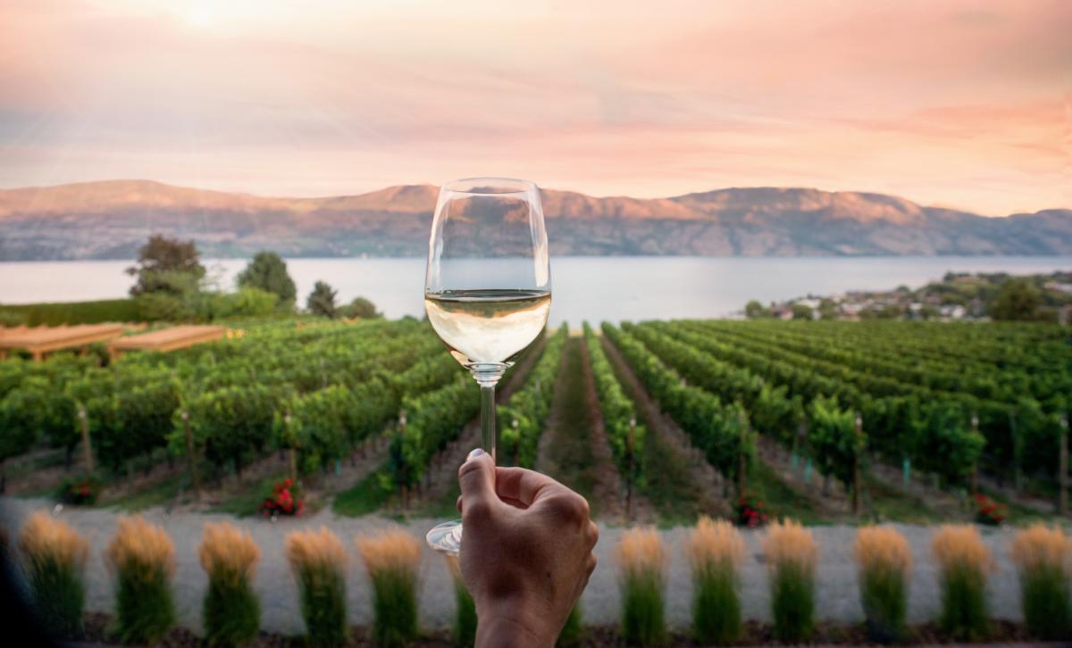 kelowna wine tours reviews