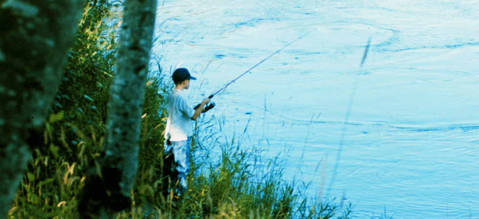 Fishing Holes Lane County Fishing License Eugene
