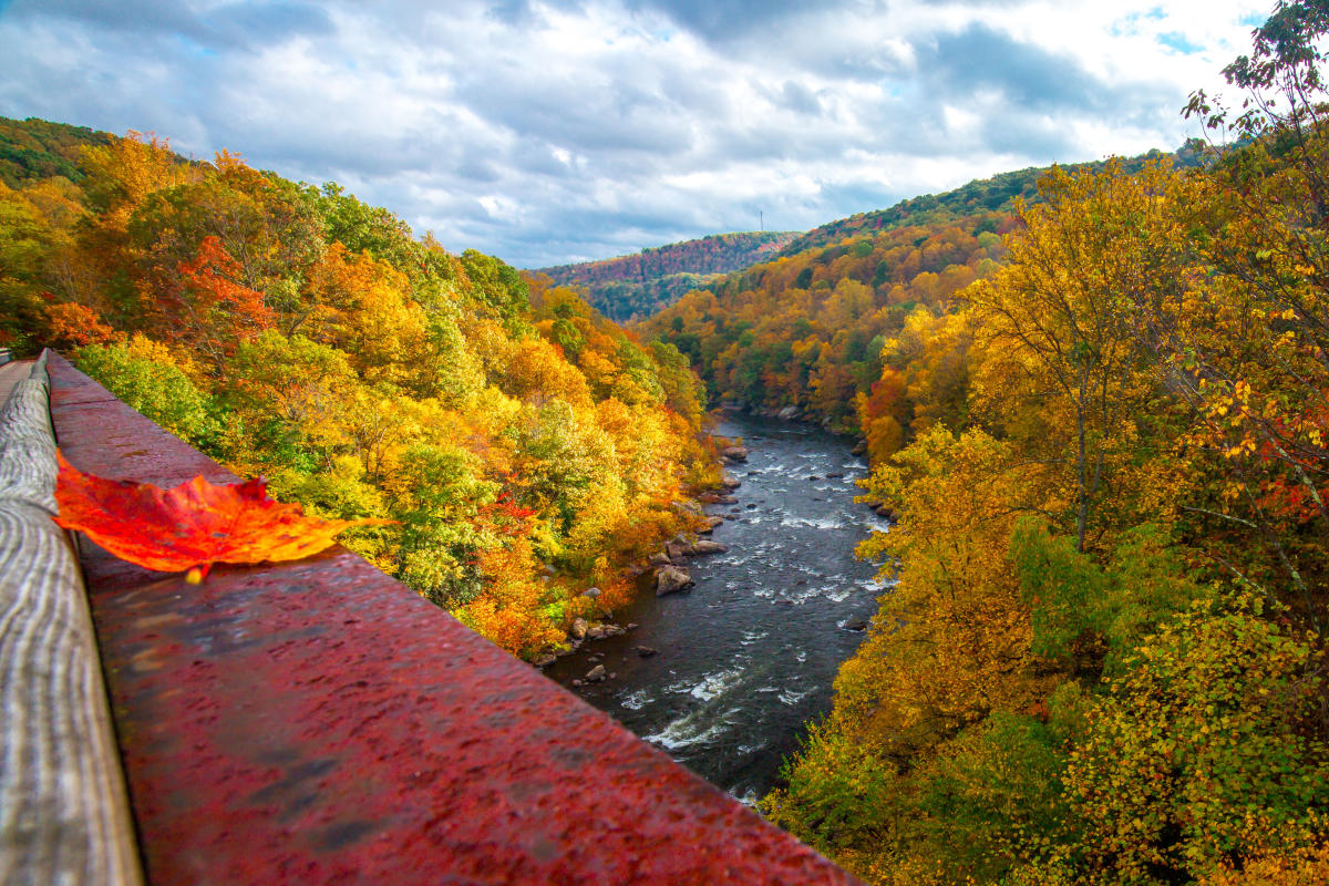 Things To Do In Fall Laurel Highlands Pa