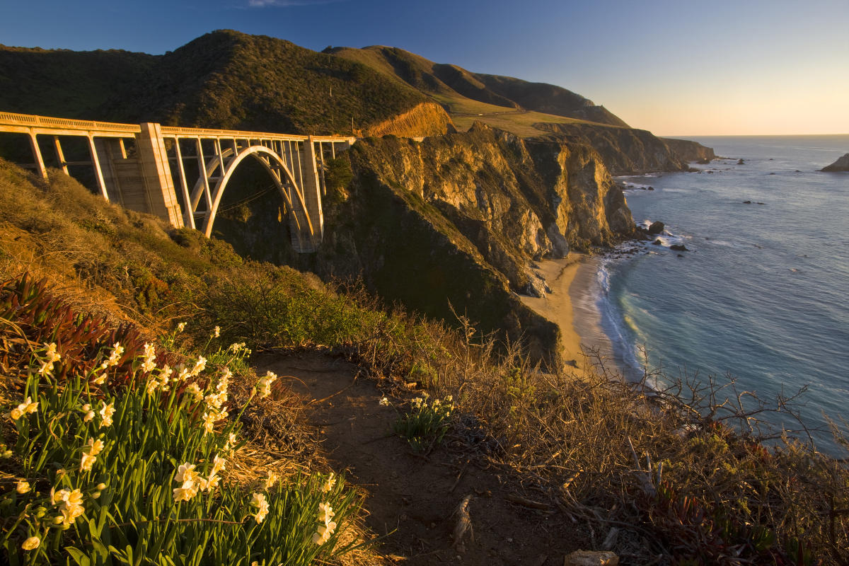 big sur patch download